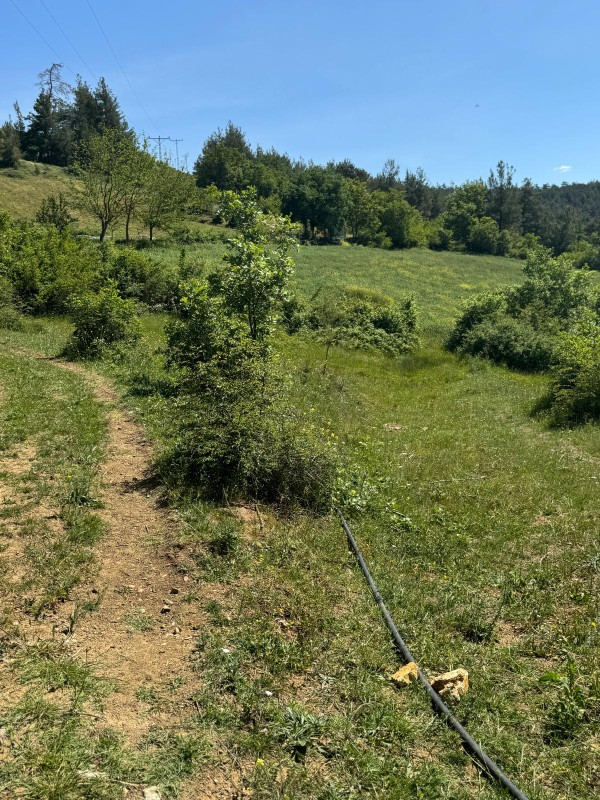 DijitalEmlak'tan Orhaneli Çınarcık köyünde Ful MAnzaralı Yola cephe 8.680 m2 Satılık Kıymetli Arazi.
