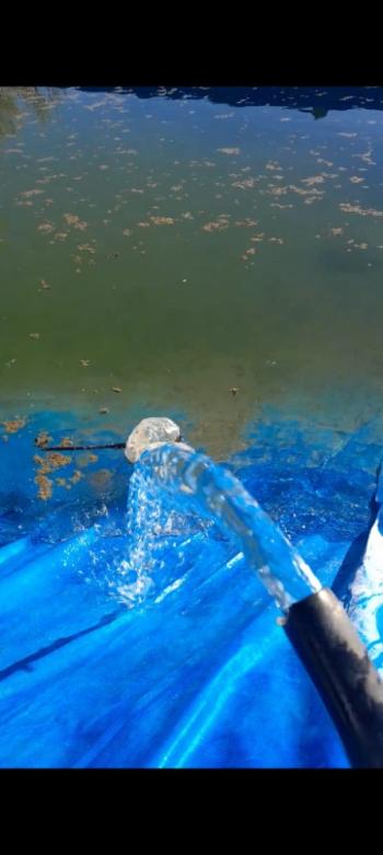 GÜVENAY - ÇORUM KIZILPINAR KÖYÜ 12,349 M² CEVİZ BAHÇESİ