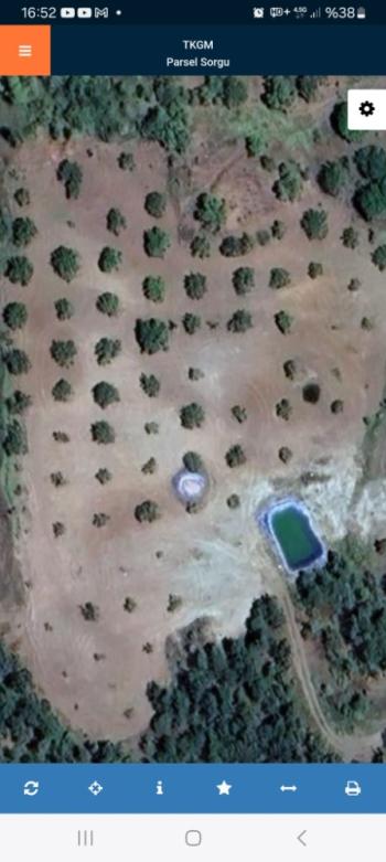 GÜVENAY - ÇORUM KIZILPINAR KÖYÜ 12,349 M² CEVİZ BAHÇESİ