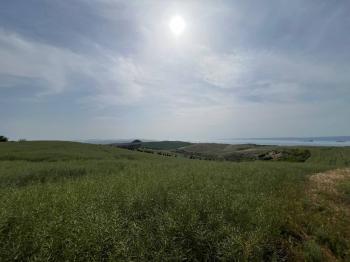 ÇANAKKALE GELİBOLU DEMİRTEPE BOĞAZ MANZARALI 63 DÖNÜM SATILIK TARLA