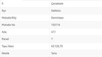 ÇANAKKALE GELİBOLU DEMİRTEPE BOĞAZ MANZARALI 63 DÖNÜM SATILIK TARLA