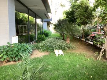 ÇİFTEHAVUZLARIN EN GÜZEL SOKAĞINDA KİRALIK 3+1