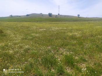 GÜVENAY - ÇORUM SUNGURLU KÜÇÜKİNCESU MEVKİİ – 5.310 M² SATILIK TARLA