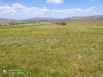 GÜVENAY - ÇORUM SUNGURLU KÜÇÜKİNCESU MEVKİİ – 5.310 M² SATILIK TARLA