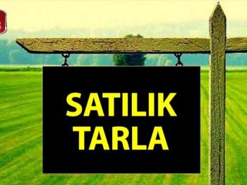 GAZİMAĞUSA SERDARLI BÖLGESİNDE SATILIK TARLA 