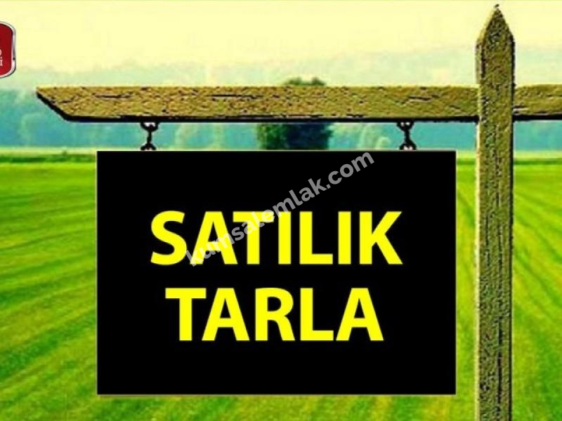 GAZİMAĞUSA SERDARLI BÖLGESİNDE SATILIK TARLA 