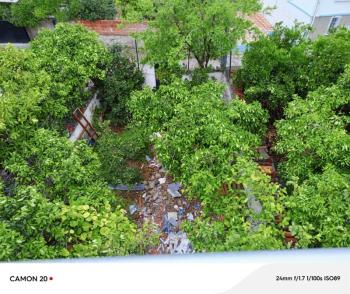 EMLAK HABERCİSİ 'NDEN MUDANYA KUMYAKA'DA SATILIK 166 M2 TAPULU, 265 m2 YAŞAM ALANI OLAN, DENİZ GÖRÜR SATILIK İKİ KATLI MÜSTAKİL EV