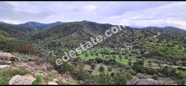 Mağusa Tatlısu Bölgesinde Satılık İmara Açık Arsa