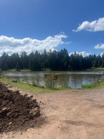 GEREDE SEVİLLER YAYLASI'NDA SATILIK 317m2 ARSA