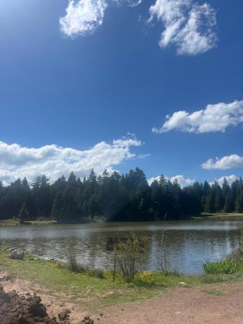 GEREDE SEVİLLER YAYLASI'NDA SATILIK 317m2 ARSA