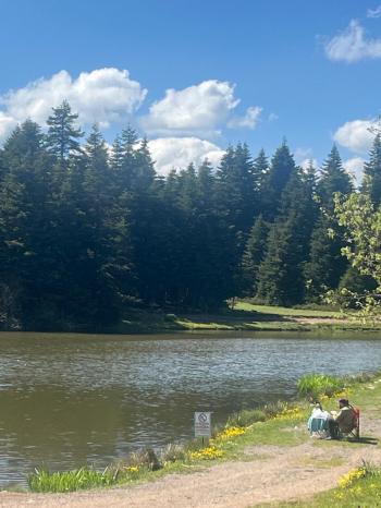 GEREDE SEVİLLER YAYLASI'NDA SATILIK 317m2 ARSA