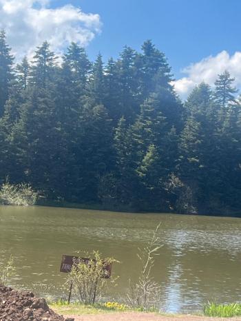 GEREDE SEVİLLER YAYLASI'NDA SATILIK 317m2 ARSA