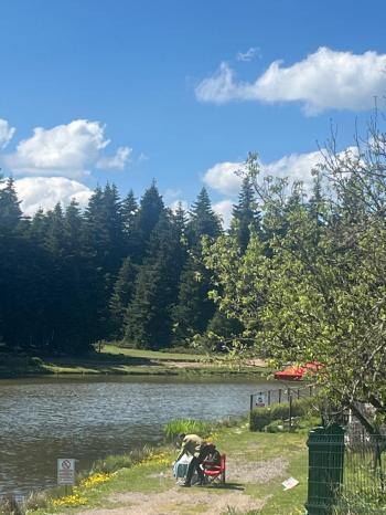 GEREDE SEVİLLER YAYLASI'NDA SATILIK 317m2 ARSA