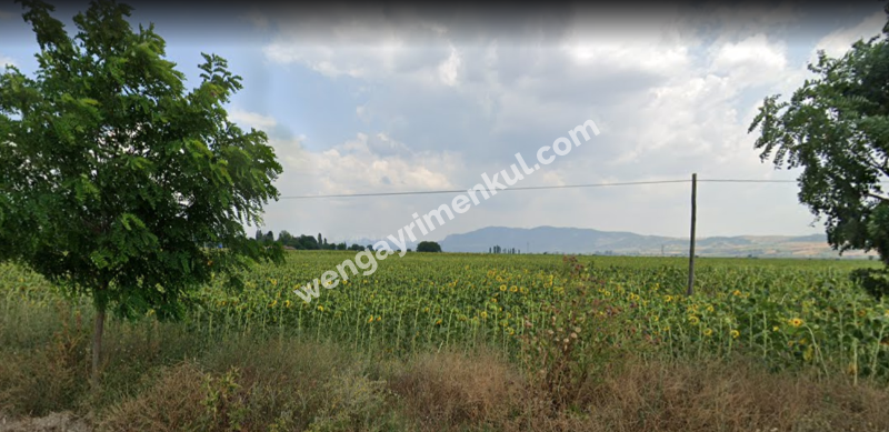BİLECİK/GÖLPAZARI/KURŞUNLU OVASINDA SATILIK SULANABİLİR TARLA