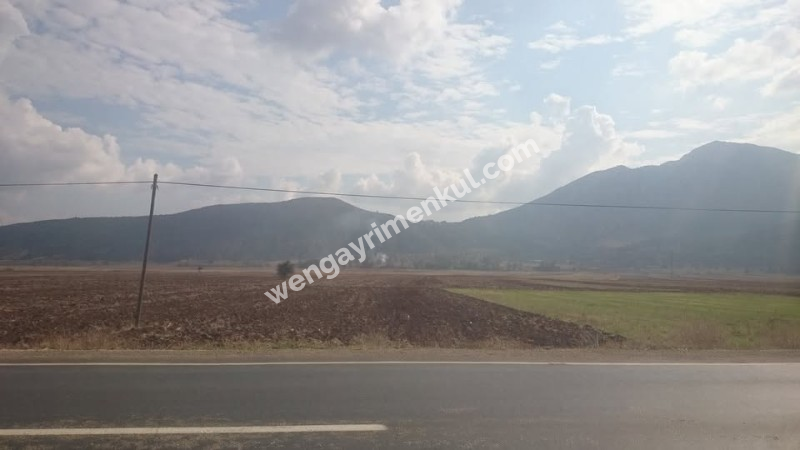 BİLECİK/GÖLPAZARI/KURŞUNLU OVASINDA SATILIK SULANABİLİR TARLA