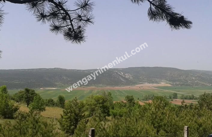 BİLECİK/GÖLPAZARI/KURŞUNLU OVASINDA SATILIK SULANABİLİR TARLA