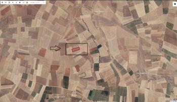 AFYON ÜÇOK EMLAKTAN ÇIKRIK KASABASI SATILIK 5000M² TARLA