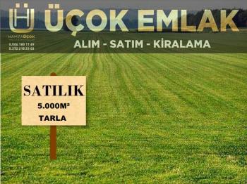 AFYON ÜÇOK EMLAKTAN ÇIKRIK KASABASI SATILIK 5000M² TARLA
