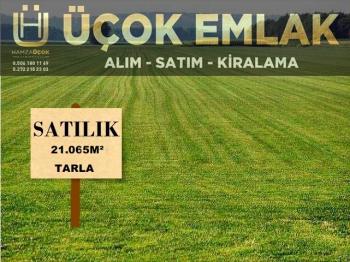 AFYON ÜÇOK EMLAKTAN ÇIKRIK KSB BAĞLI 21.065M² SATILIK TARLA 