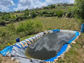 ASLAN'DAN SIRAÇ'TA MÜSTAKİL PARSEL KİVİ BAHÇESİ
