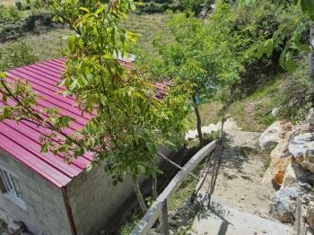 ASLAN'DAN SIRAÇ'TA MÜSTAKİL PARSEL KİVİ BAHÇESİ