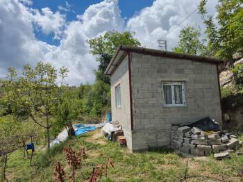 ASLAN'DAN SIRAÇ'TA MÜSTAKİL PARSEL KİVİ BAHÇESİ