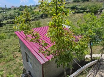 ASLAN'DAN SIRAÇ'TA MÜSTAKİL PARSEL KİVİ BAHÇESİ