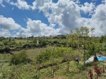 ASLAN'DAN SIRAÇ'TA MÜSTAKİL PARSEL KİVİ BAHÇESİ