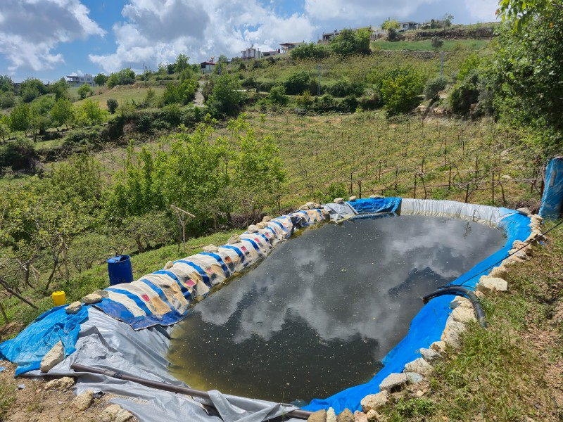 ASLAN'DAN SIRAÇ'TA MÜSTAKİL PARSEL KİVİ BAHÇESİ