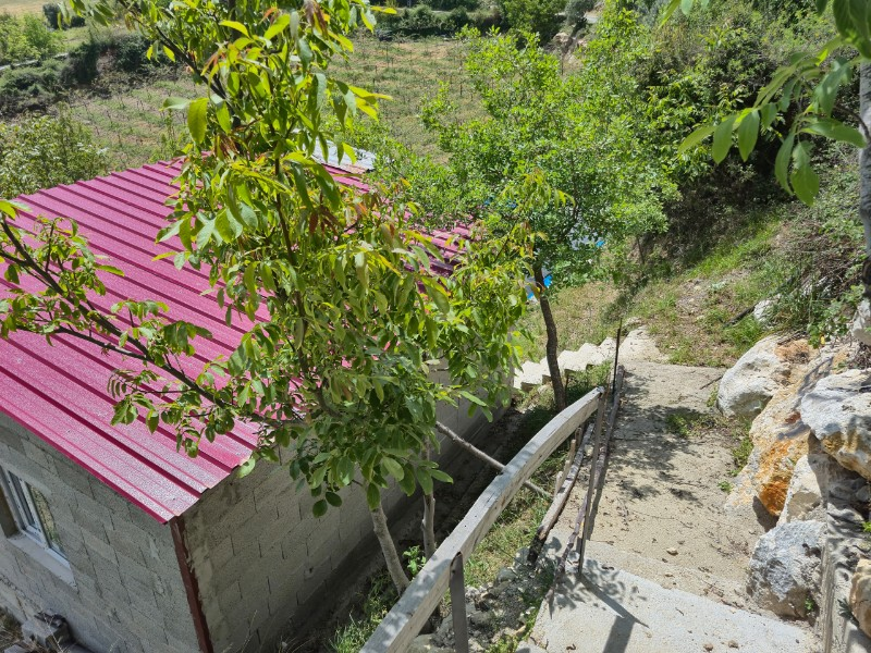 ASLAN'DAN SIRAÇ'TA MÜSTAKİL PARSEL KİVİ BAHÇESİ