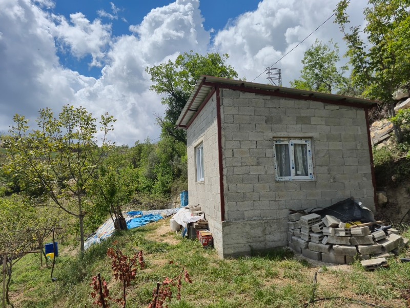 ASLAN'DAN SIRAÇ'TA MÜSTAKİL PARSEL KİVİ BAHÇESİ