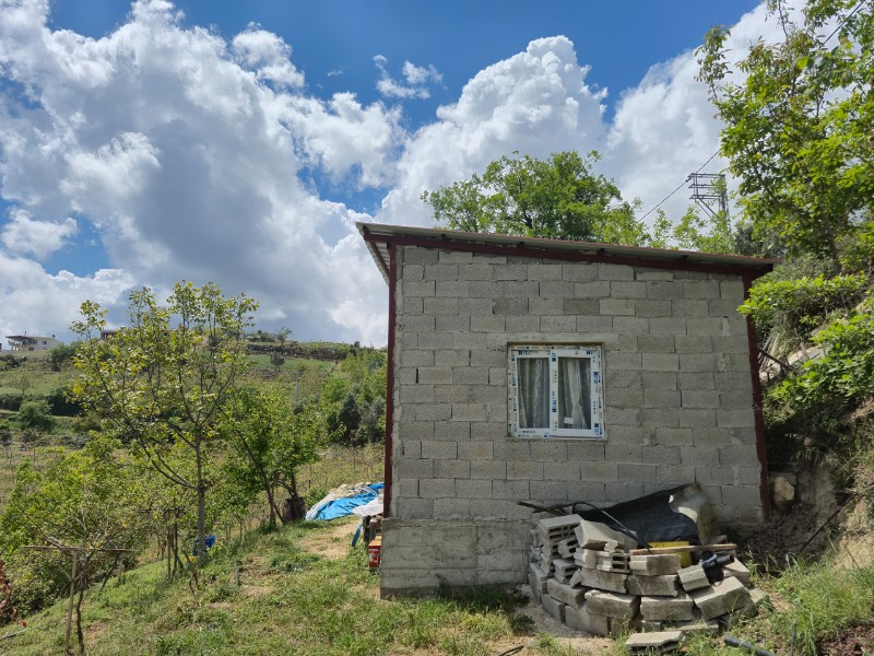 ASLAN'DAN SIRAÇ'TA MÜSTAKİL PARSEL KİVİ BAHÇESİ