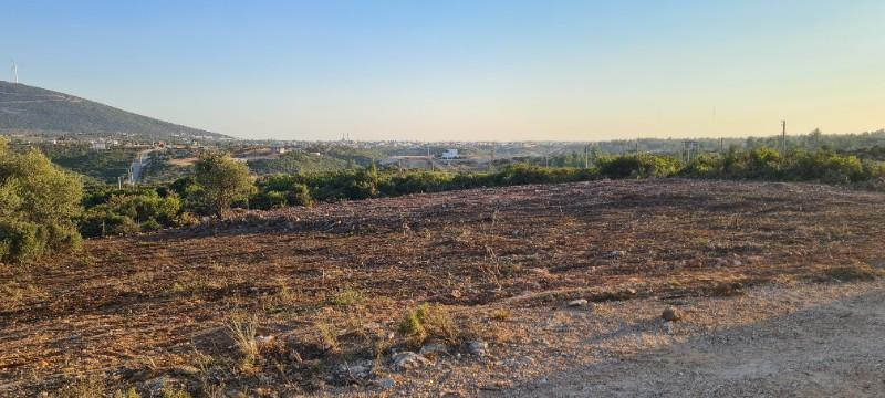 DİDİM de SATILIK 1300m2 FIRSAT ARSA