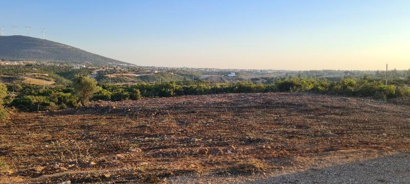 DİDİM de SATILIK 1300m2 FIRSAT ARSA