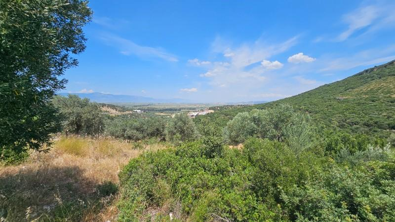 FIRSAT! İZMİR BODRUM DİDİM ANA YOLA SIFIR 1034m2 ARSA