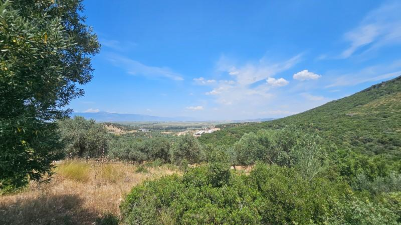 FIRSAT! İZMİR BODRUM DİDİM ANA YOLA SIFIR 1034m2 ARSA