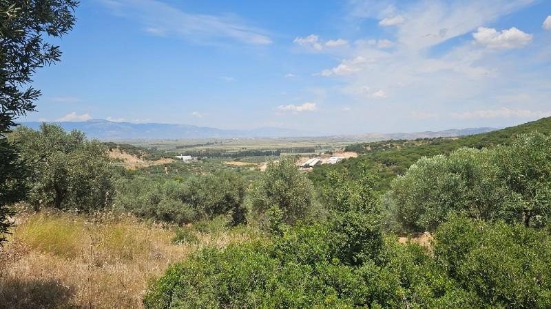 FIRSAT! İZMİR BODRUM DİDİM ANA YOLA SIFIR 1034m2 ARSA