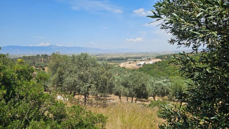 FIRSAT! İZMİR BODRUM DİDİM ANA YOLA SIFIR 1034m2 ARSA