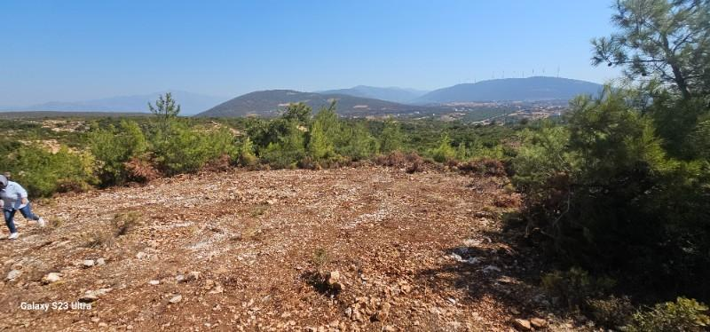 DENİZE YAKIN!! DİDİM de FIRSAT VİLLA İMARLI ARSA