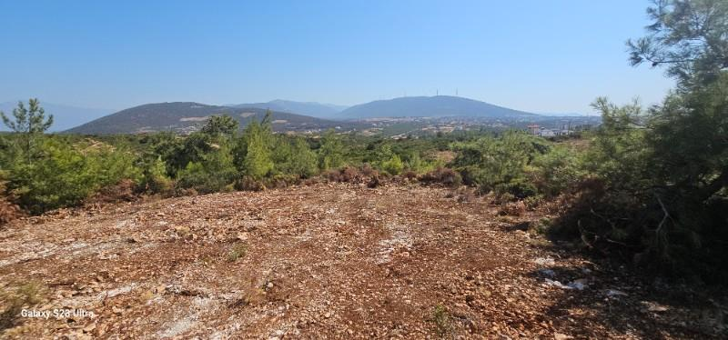 DENİZE YAKIN!! DİDİM de FIRSAT VİLLA İMARLI ARSA