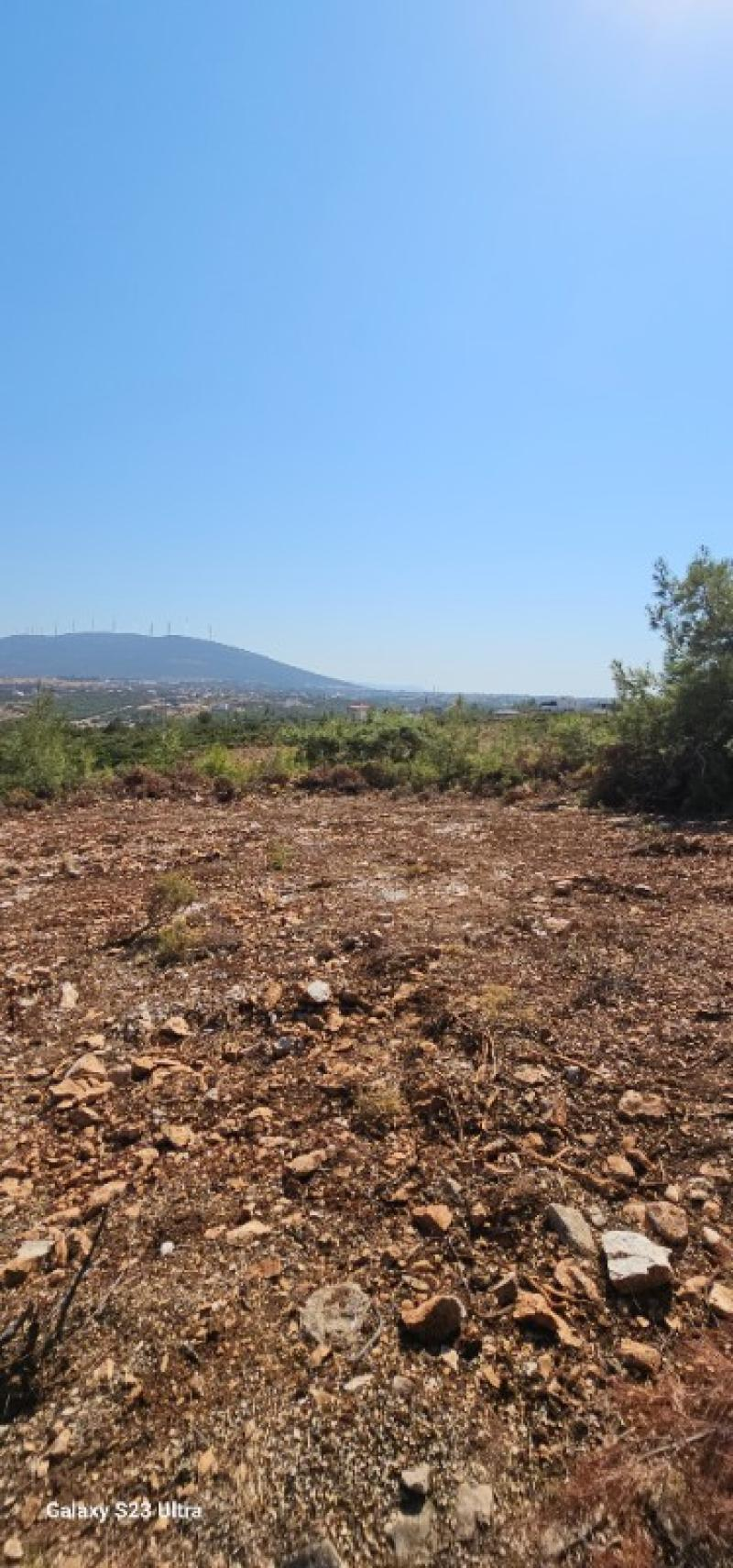 DENİZE YAKIN!! DİDİM de FIRSAT VİLLA İMARLI ARSA