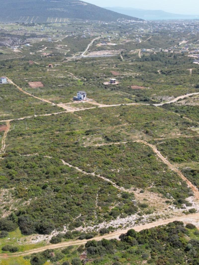 DİDİM de DENİZE YAKIN FIRSAT ARSA