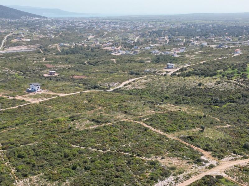 DİDİM de DENİZE YAKIN FIRSAT ARSA