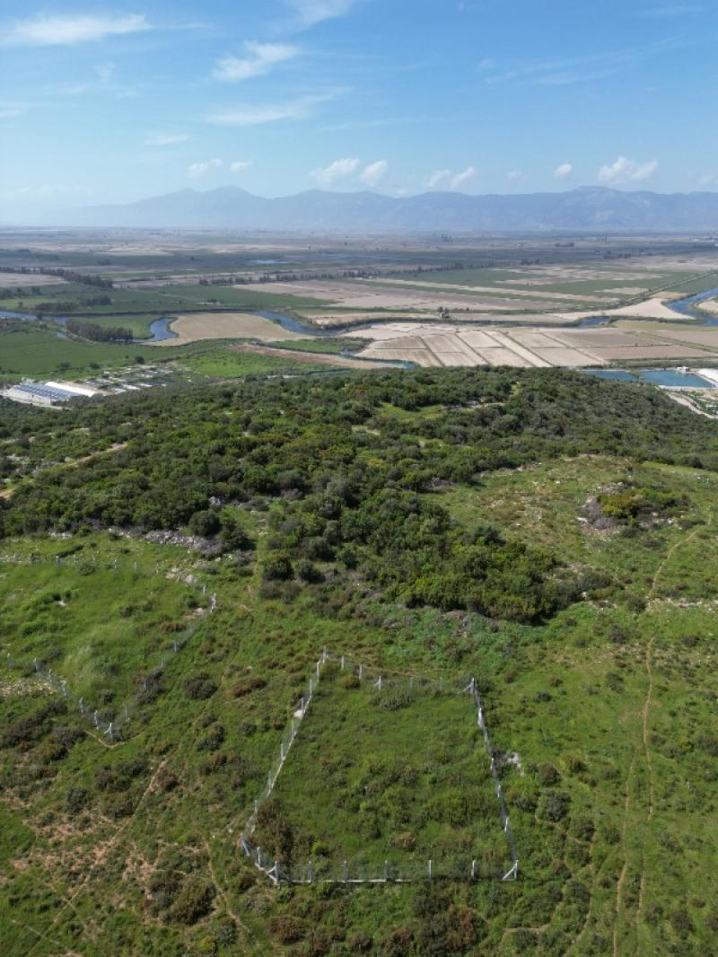 DİDİMİN GİRİŞİNDE FIRSAT MALİKANE ARSASI!!!