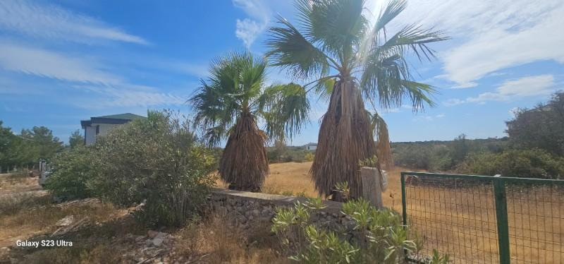 DİDİM de DENİZE YAKIN 300 m2 MÜSTAKİL VİLLA İMARLI FIRSAT ARSA