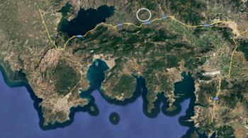 Milas'ta Bodrum Yoluna Yakın Satılık Zeytinlik