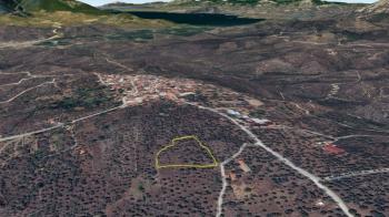 Milas'ta Bodrum Yoluna Yakın Satılık Zeytinlik