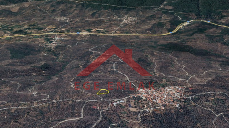Milas'ta Bodrum Yoluna Yakın Satılık Zeytinlik