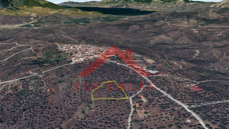 Milas'ta Bodrum Yoluna Yakın Satılık Zeytinlik