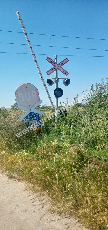 MÜSTAKİL TEK TAPU TARLA 
